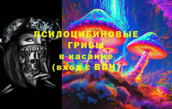 MDMA Богородицк